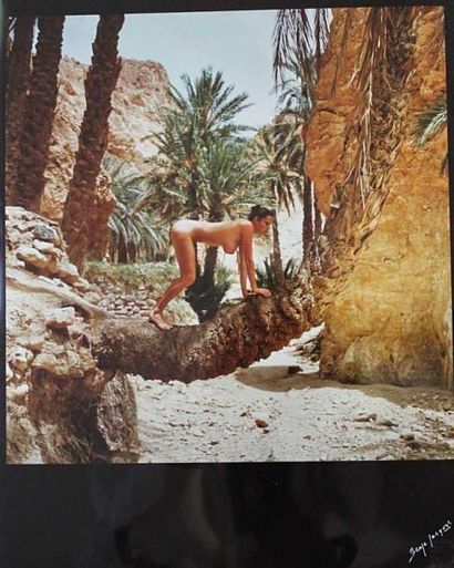 Serge Jacques «Brigitte Lahaie dans l'oasis». Cibachrome couleur tiré par Roland...