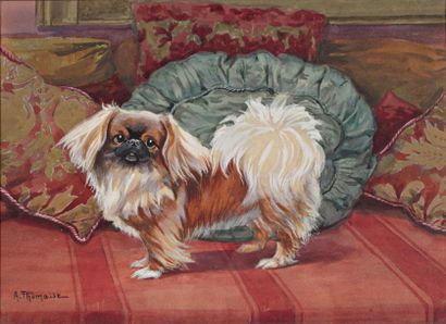 XXème siècle Le chien Lion- A. Thomasse (1850- 1939) Gouache encadrée sous verre....