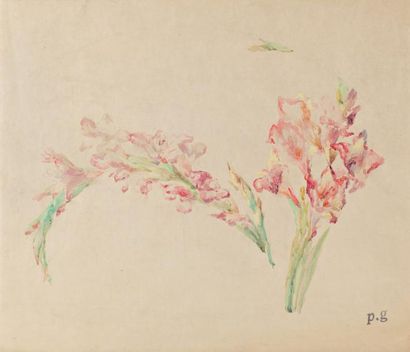 Paule GOBILLARD (1869-1946) " Etude de Glaieuls" Aquarelle,signée du cachet en bas...