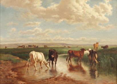 Constant TROYON (1810-1865) «Vaches en prairie» Huile sur toile. Signée en bas à...