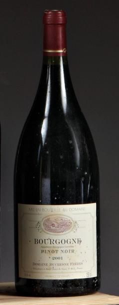 null 1 Magnum, Pinot Noir, 2001, Domaine DUCHESNE FRERES, Bourgogne (étiquette t...