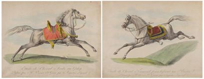 Karl VERNET (d'après) (1758-1836) "Chevaux" paire de gravures en couleurs encadrées...