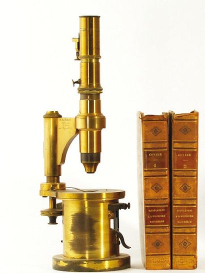 null Microscope à tambour en bronze et laiton. 19ème siècle. Signé NACHET à Paris,...
