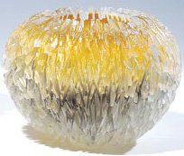 FOKKELMAN Hanneke, née en 1955 "ANÉMONE" Coupe-sculpture en verre soufflé à petite...