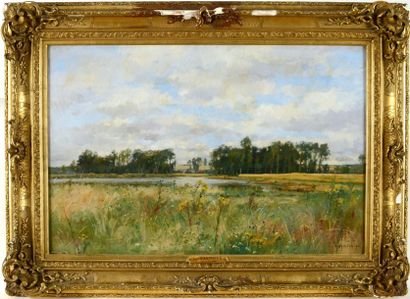 DAMOYE Pierre Emmanuel Eugène (1847-1916) "L'étang fleuri" Huile sur toile, signée...