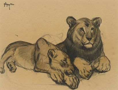 GUYOT "Lion et lionne" Dessin au crayon gras et aquarelle. Cachet? en haut à gauche....