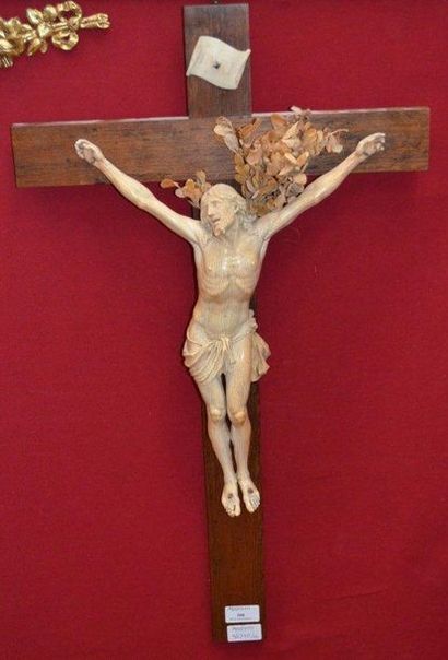 null Grand CHRIST en ivoire sculpté, sur une croix en bois naturel moderne. XIXème...