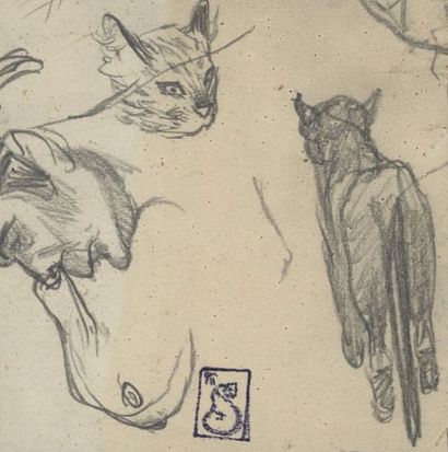 Théophile Alexandre STEINLEN (1859-1923) Etudes de chats

Dessin au crayon, porte...