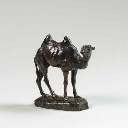 Antoine Louis BARYE (1795-1875) « Petit chameau de Perse »

Rare épreuve en bronze...