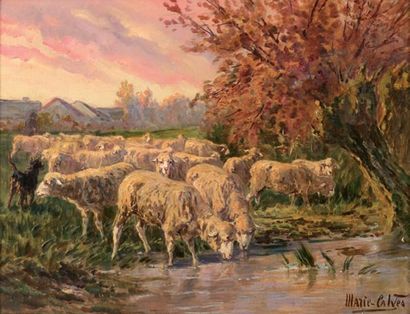 CALVES Marie (1883-1957) «Moutons s'abreuvant» Huile sur toileSigné en bas à droite50...