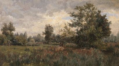 PAIL Edouard (1851-1916) «Paysage de sous-bois» Huile sur panneau Signé en bas à...