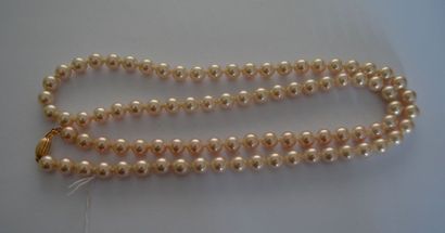  COLLIER chocker en perle de Majorque, fermoir "graine", en or. PB : 50,8 g