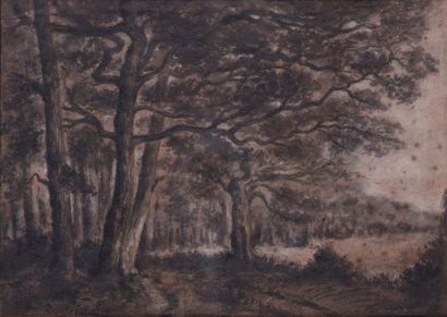 Théodore ROUSSEAU (1812-1867) "Les grands chênes" lavis d'encre et crayons sur papier,...