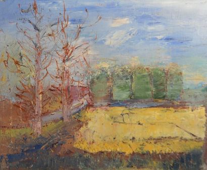 null ULYSSE JEAN-PAUL (1925-2011) "Paysage d'automne" huile sur toile non signée...