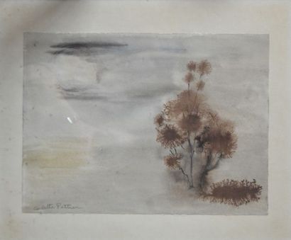 null Colette PETTIER (1907-1983)," L'arbre dans la pénombre", Aquarelle sur papier...
