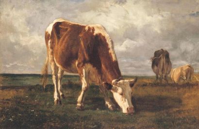 TROYON Constant (1810-1865) « Vaches au paturage » Huile, signée en bas à gauche....