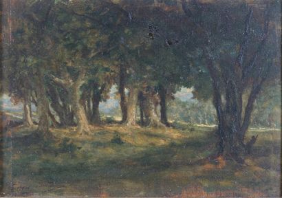 BRILLOUIN Louis Georges (1817-1893) Clairière en foret Huile sur panneau, signé en...