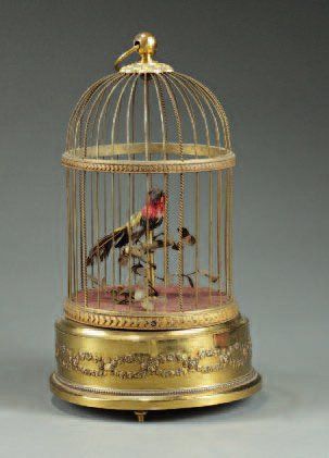 null Automate "Oiseau chanteur" en plumes dans sa cage. Début XXe siècle . En état...