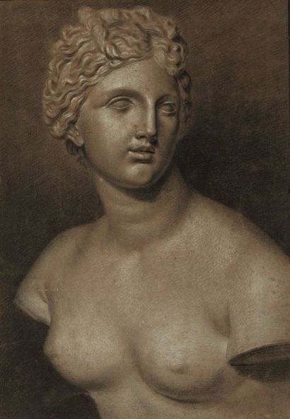 ECOLE FRANCAISE Première Moitié du XIXe siècle Buste de Vénus (Etude d'après l'Antique)...