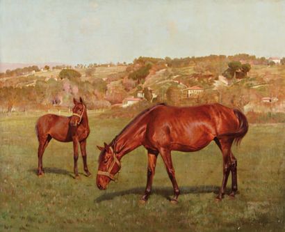 Emile MEYER (1823-1893) Jument et poulain au pré. Huile sur toile signée en bas à...