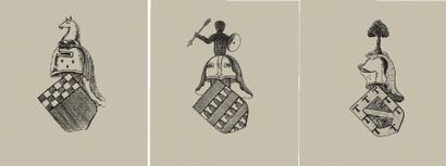 null [HÉRALDIQUE]. DUBUISSON (Pierre Paul). Armorial des principales maisons et familles...