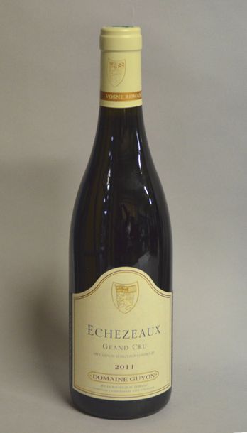 null 1 Bt ECHEZAUX GUYON, 2011