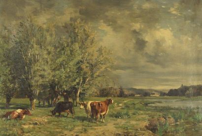 BUSSON Charles (1822-1908) « Vaches près des grands arbres ». Huile sur toile, signé...
