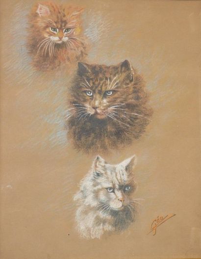 GEOFFROY Jean Jules Henry (1853-1924) dit GEO « Trois têtes de chats ». Pastel, signé...