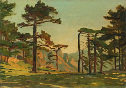 VERDUN Raymond Jean (1873-1954) « Les Pins parasols ». Huile sur toile, signée en...