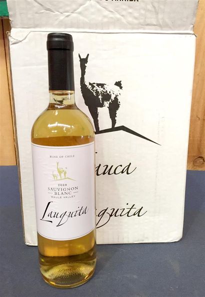 null 6 Btls de vin blanc du Chili - LAUQUITA Wine of Chile Masle Valley Sauvignon...