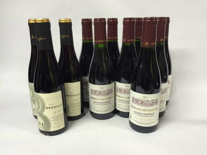 null 9 Demi bouteille Domaine des Elettes, Saumur Champigny, 2012- 3 demi bouteilles...