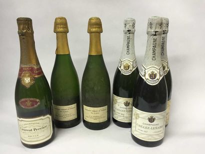 6 Bouteilles: 3 Champagne Caillez - Lemaire...