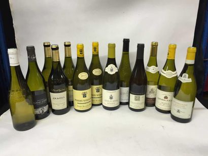 13 Bouteills de vin blanc: Arbois 2011 x3...