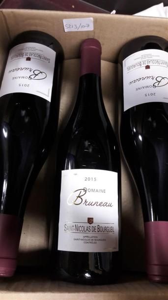 null 6 bts Saint Nicolas de Bourgueil, domaine Bruneau. 2015