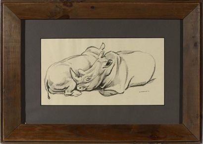 null André MARGAT (1903-1999)
" Deux Rhinocéros couchés "
Dessin original au fusain...