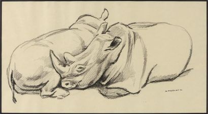 null André MARGAT (1903-1999)
" Deux Rhinocéros couchés "
Dessin original au fusain...