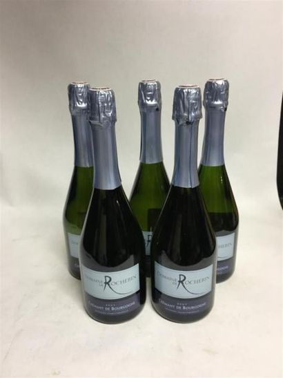 null 5 bouteilles Crément de Bourgogne, domaine Rochebin, Brut