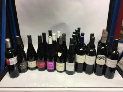 null 24 Bouteilles de vins rouge: corbieres, malepere, jonc blanc, cahors, macon...