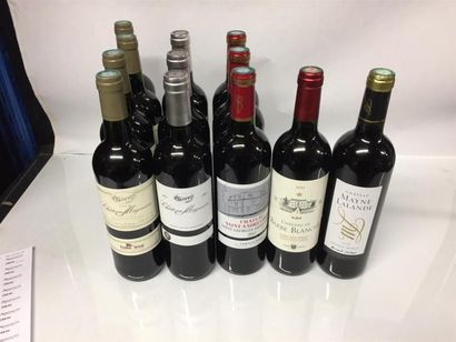 null 12 Bouteilles de vins rouge: 4 Chateau Magneau grave 2014, 3 Chateau Magneau...