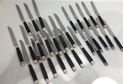 SUITE de 17 grands couteaux et 11 couteaux...