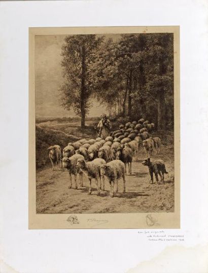 CHAIGNEAU Jean Ferdinand (1830-1906) «Berger et son troupeau» Eau-forte originale,...