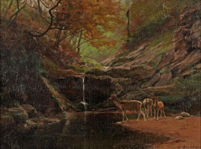 ROUVIERE Charles (1866-1924) «Cerf et biche en forêt» Huile sur toile, signée en...