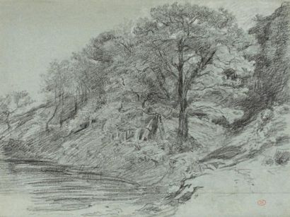 HUET Paul (1803-1869) «Le grand arbre près de l'étang» Fusain rehaussé sur papier...