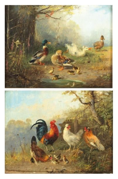 SCHEURER Julius (1859-1913) «Coq, poules et poussins» et «Canards, cannes et canetons»...