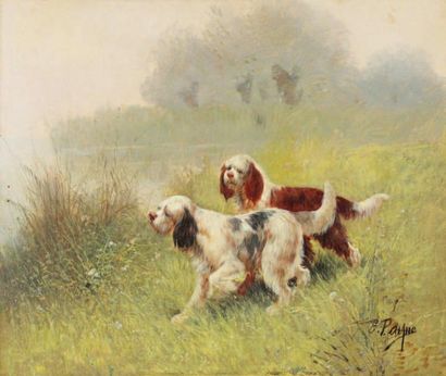 PAYNE (XIX-XXe siècle) «Chien de chasse» Huile sur toile, signée en bas à droite....