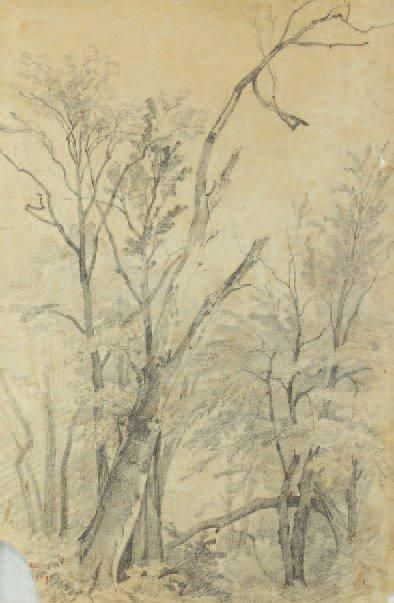 CARUELLE D'ALIGNY Théodore (1798-1871) «Forêt de Fontainebleau» Mine de plomb, monogrammée...