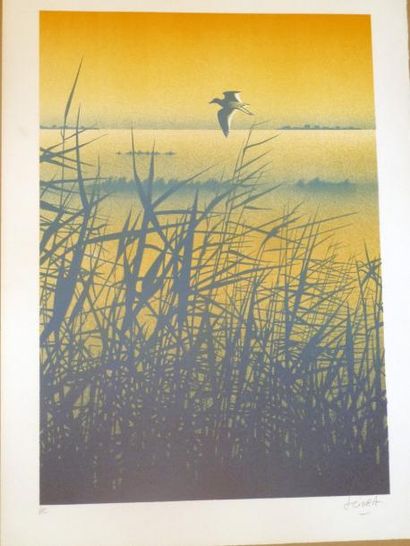 Daniel SCIORA (né en 1945) Coucher de soleil sur l?étang
Lithographie, signée en...