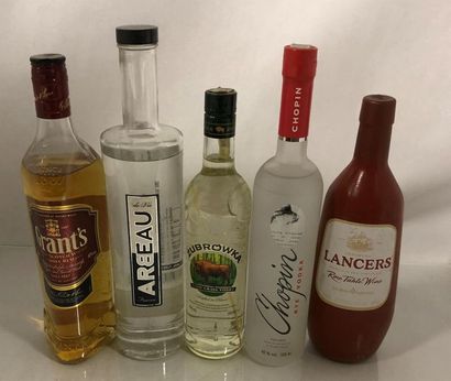 null 5 bouteilles d'alcool : Whisky Grant's, Vodka, eau de vie du Languedoc Arbeau,...