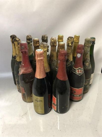 null 17 bouteilles blanquette du Limoux, Muscat rosé, castelane, vin d'Arbois, pétillant...