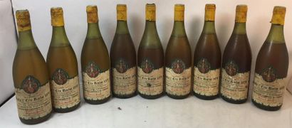 null 10 bouteilles de Rully 1er cru, Raclot, Taste Village, 1979.